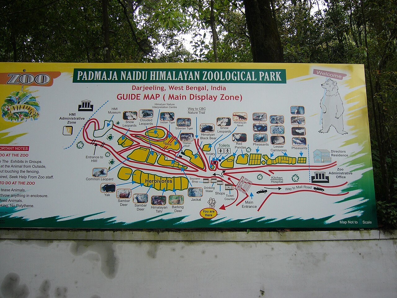 Padmaja Naidu Himalayan Zoological Park Darjeeling