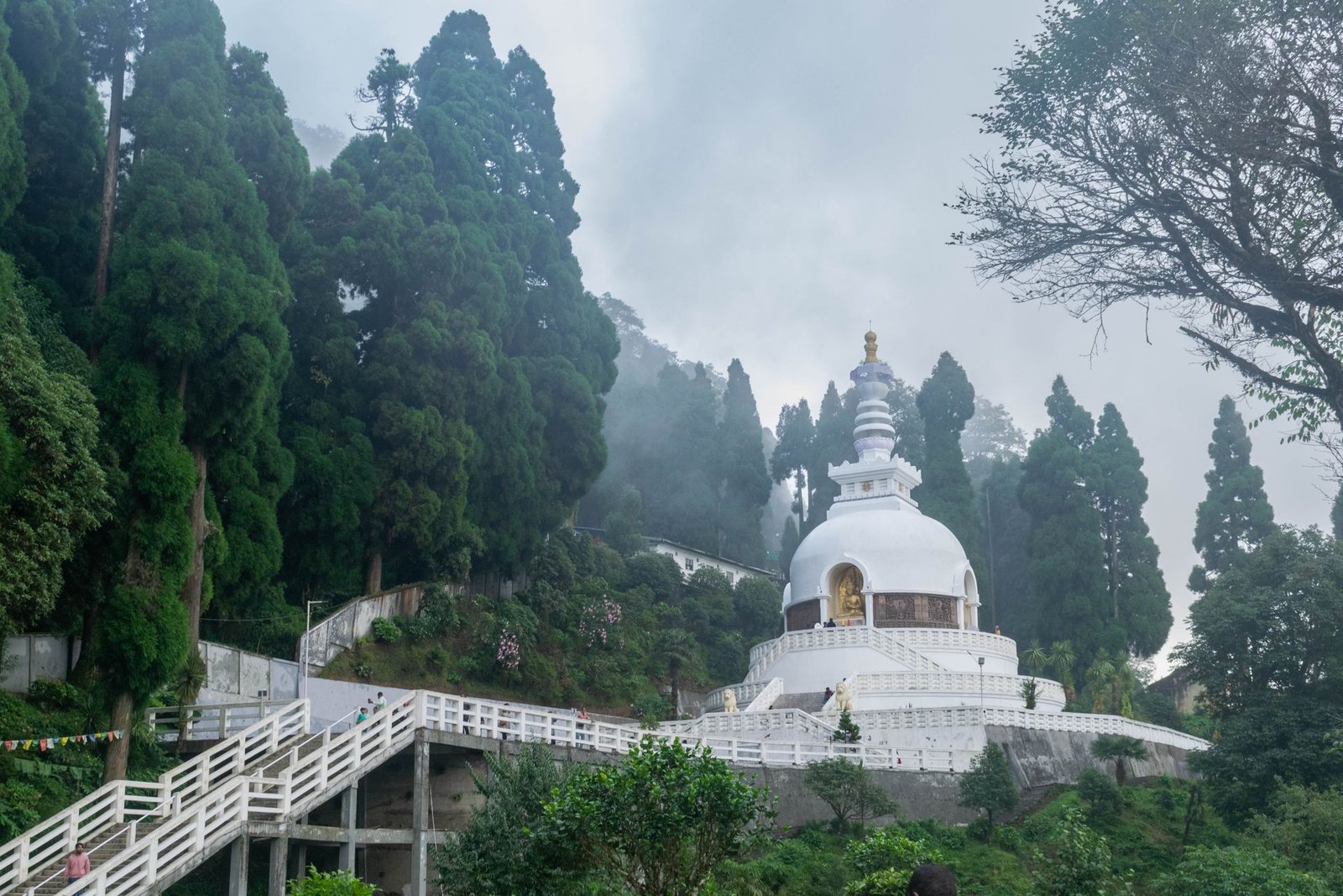 Peace Pagoda Darjeeling